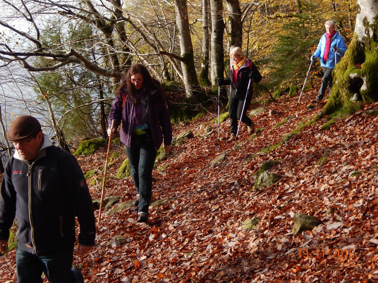 Sortie le 19 novembre