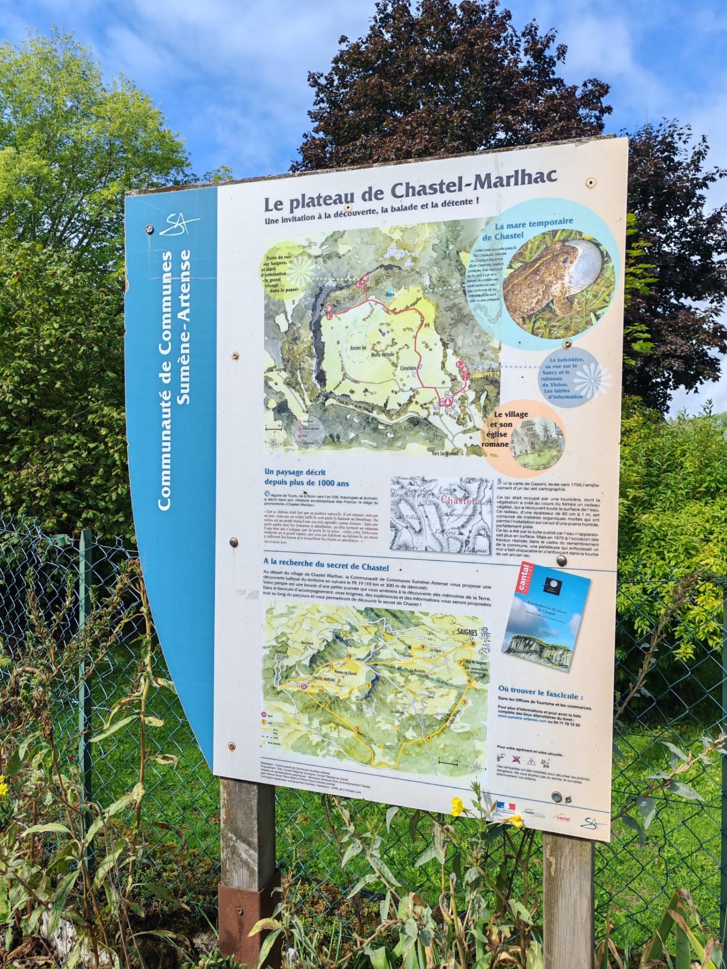 547092831 799667009285806 2529390588497136204 n