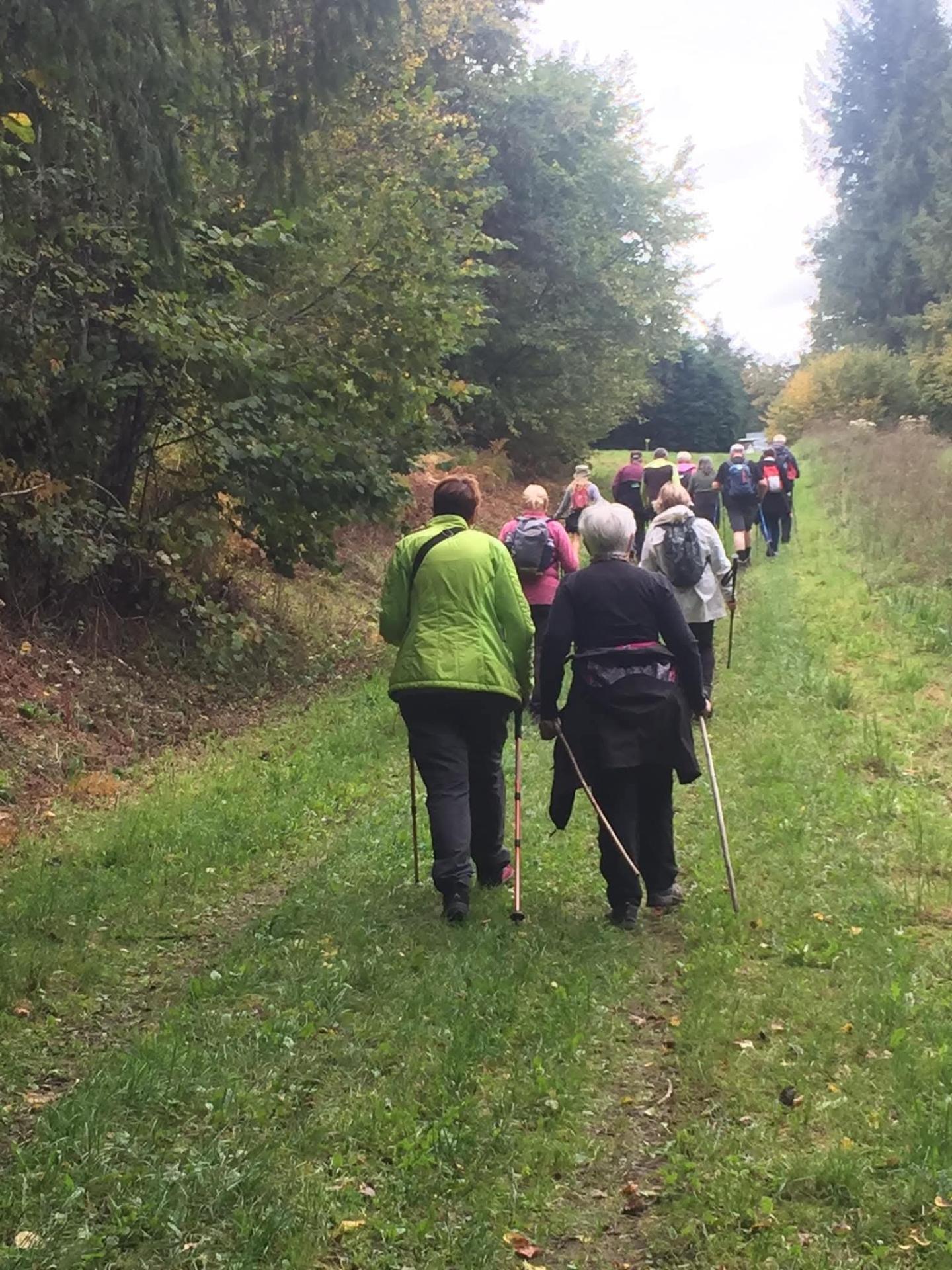 558680050 823212323597941 2604731683784590605 n